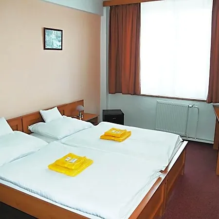 Hotell Vysocina 3*