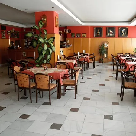 维索西纳酒店 3* Chotěboř