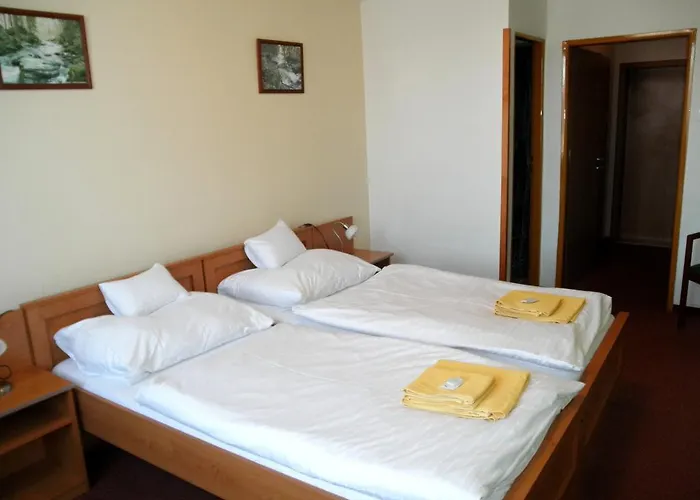 Vysocina Ξενοδοχείο 3*